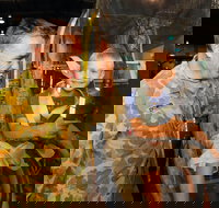 Oakey - Accommodation Tasmania