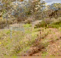 Old Mountain Road Walking Track - Accommodation Tasmania