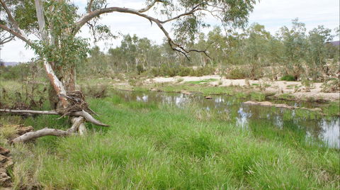 Original Glen Helen Homestead - Accommodation Tasmania 2
