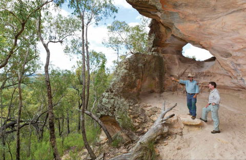 Pilliga National Park - Accommodation Tasmania 0