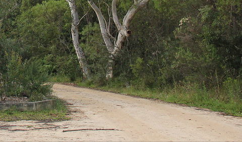 Riverview Walking Track - Accommodation Tasmania 0