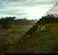 Scenic NSW Horse Riding Centre - Accommodation Tasmania