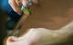 Simon Martin Whips & Leathercraft - thumb 0