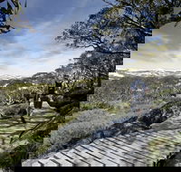 Snow Gums boardwalk - Accommodation Tasmania