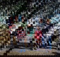 State Forests of the Watagan Mountains - Accommodation Tasmania