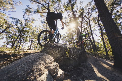 St Helens Mountain Bike Trails - Accommodation Tasmania 1