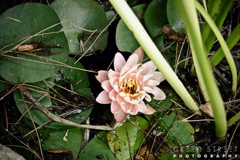 The Beach Bible Garden - Accommodation Tasmania 0
