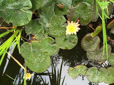 The Beach Bible Garden - Accommodation Tasmania 2