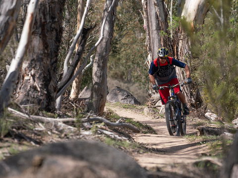 Thredbo Valley Track - Accommodation Tasmania 2