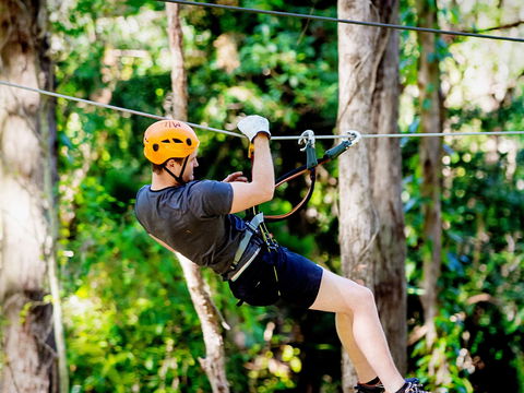 TreeTop Challenge Currumbin Wildlife Sanctuary - Accommodation Tasmania 0