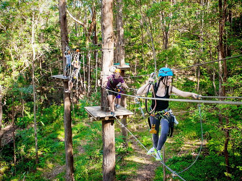 TreeTop Challenge Currumbin Wildlife Sanctuary - Accommodation Tasmania 1