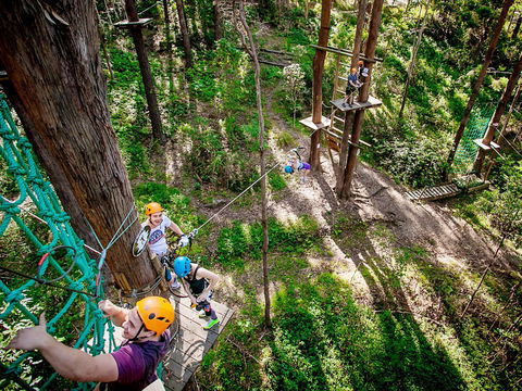TreeTop Challenge Currumbin Wildlife Sanctuary - Accommodation Tasmania 2