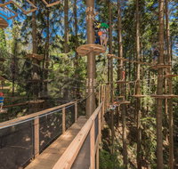 TreeTops Sydney The Hills - Accommodation Tasmania