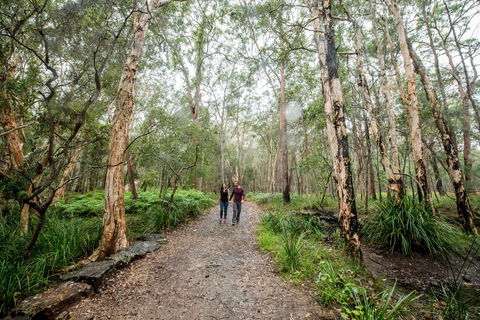 Venman Bushland National Park - Accommodation Tasmania 0