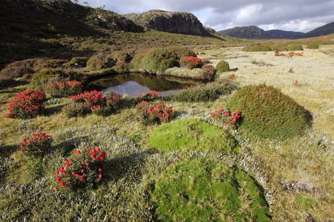 Walls Of Jerusalem National Park - Accommodation Tasmania 1
