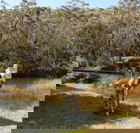 Wild Valley Art Park - Accommodation Tasmania