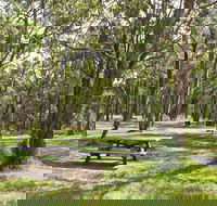 Wollomombi Gorge and Falls Picnic Area - Accommodation Tasmania