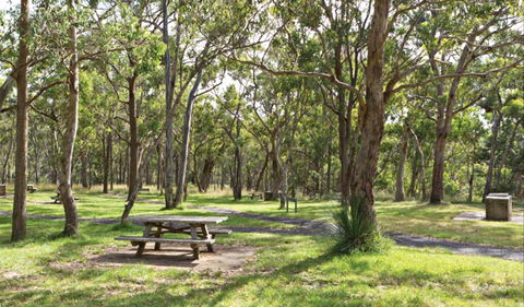 Wollomombi Gorge And Falls Picnic Area - Accommodation Tasmania 0