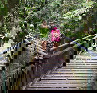 Wonga Walk - Accommodation Tasmania