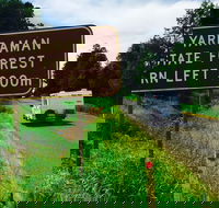 Yarraman - Accommodation Tasmania