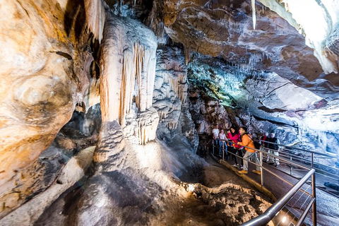 Jenolan Caves: Chifley Cave Tour - Accommodation Tasmania 0
