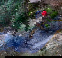 Small-Group Full-Day Canyoning and Abseiling Adventure from Katoomba - Accommodation Tasmania