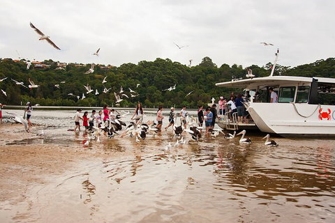 Catch A Crab Tour With Optional Seafood Lunch - Accommodation Tasmania 1