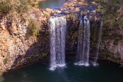 Rainforest & Waterfall Experience - Accommodation Tasmania 1