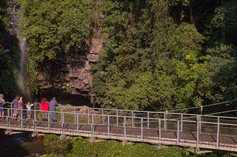 Rainforest & Waterfall Experience - Accommodation Tasmania 4