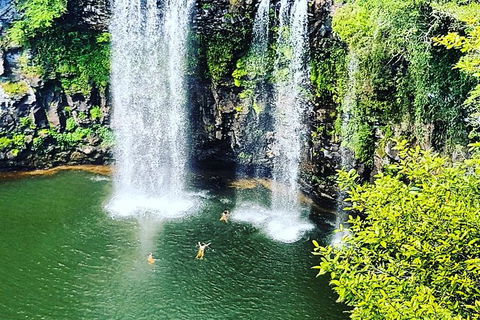 Rainforest & Waterfall Experience - Accommodation Tasmania 2