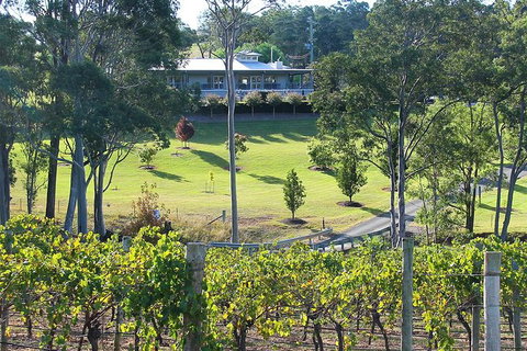 Tulloch Wines - Wine Tasting Paired With Local Handmade Chocolates - Accommodation Tasmania 4