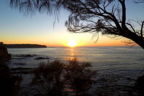 Batemans Bay Overnight Kayak Camping Tour - All Inclusive - Accommodation Tasmania 1
