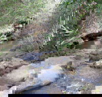 Bomaderry Creek Regional Park - Accommodation Tasmania