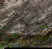Brisbane Ranges National Park - Accommodation Tasmania