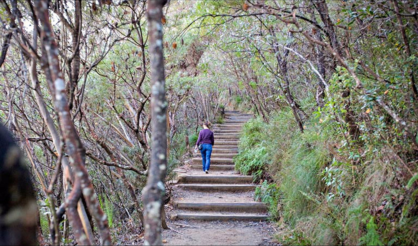 Wentworth Falls NSW Accommodation Tasmania