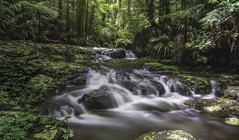 Protesters Falls Walking Track - Accommodation Tasmania 0