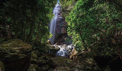 Protesters Falls Walking Track - Accommodation Tasmania 1
