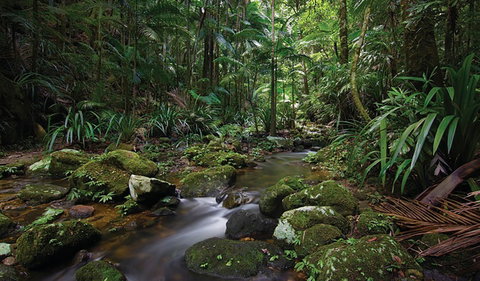 Protesters Falls Walking Track - Accommodation Tasmania 2
