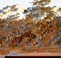 Yawura Yarun - Accommodation Tasmania