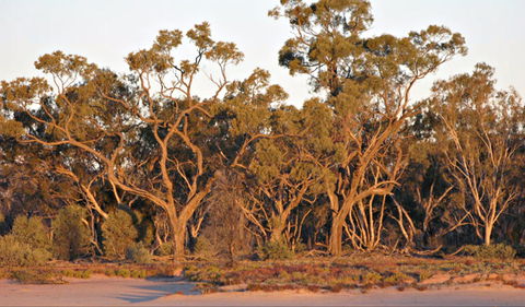 Yawura Yarun - Accommodation Tasmania 0