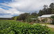 Tintilla Estate: Wine Tasting With A Meat And Cheese Platter - thumb 5