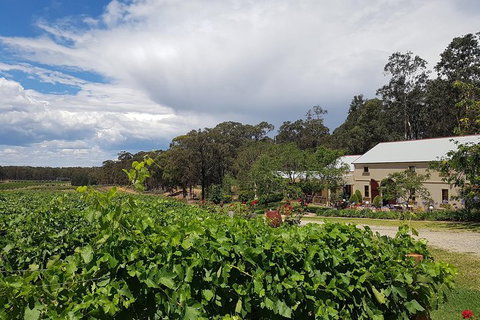 Tintilla Estate: Wine Tasting With A Meat And Cheese Platter - Accommodation Tasmania 5