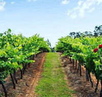 Tintilla Estate Wine Tasting with a Meat and Cheese Platter - Accommodation Tasmania