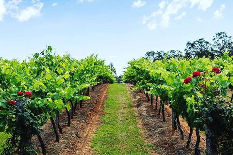 Tintilla Estate: Wine Tasting With A Meat And Cheese Platter - Accommodation Tasmania 0