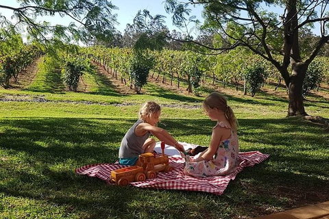 Tintilla Estate: Wine Tasting With A Meat And Cheese Platter - Accommodation Tasmania 2