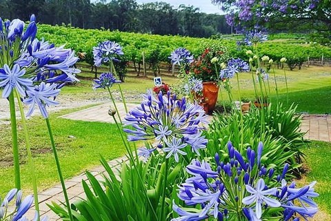 Tintilla Estate: Wine Tasting With A Meat And Cheese Platter - Accommodation Tasmania 4