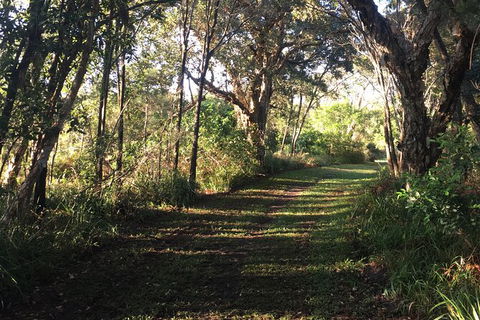 Coffs Harbour To Sawtell Bike Ride - Accommodation Tasmania 7