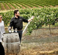 VIP Soil-To-Cellar Experience - Accommodation Tasmania