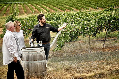 VIP Soil-To-Cellar Experience - Accommodation Tasmania 0
