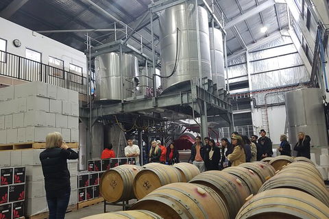 Hunter Valley Small Group Wine, Gin, Cheese & Chocolate Tour - Accommodation Tasmania 6